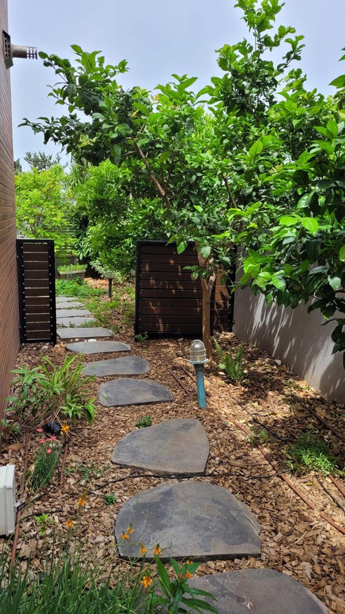 נקודות ריפוי Appartement Tirat Carmel Buitenkant foto